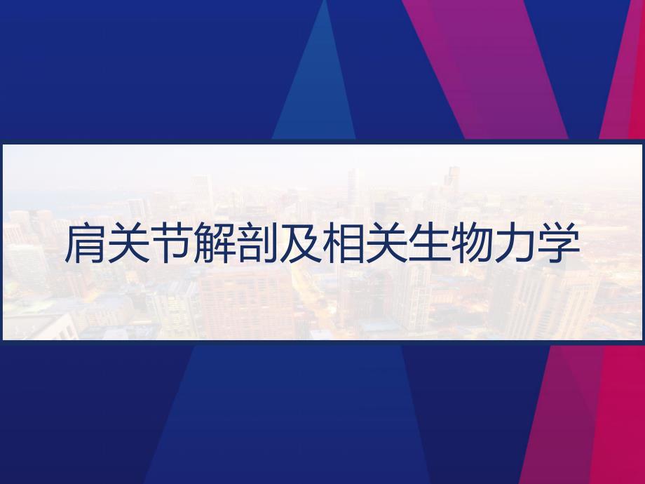 肩关节解剖及相关生物力学课件_第1页