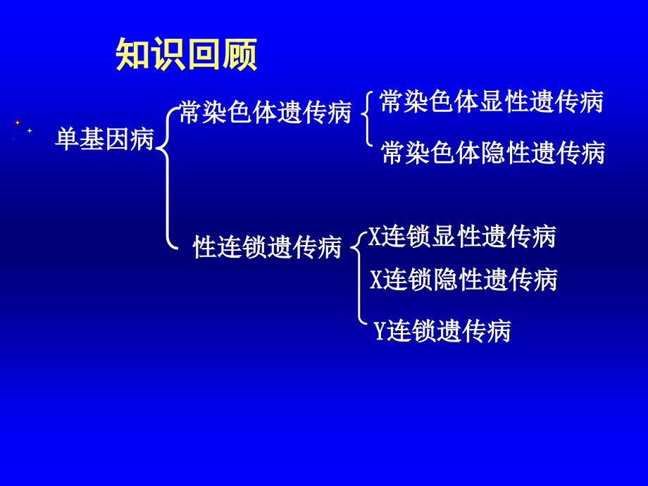 《基因遗传》PPT课件_第1页