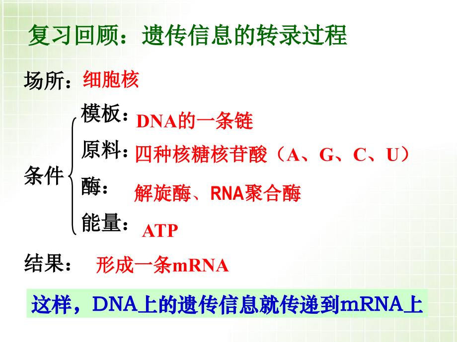 《遗传信息的翻译》课件_第1页