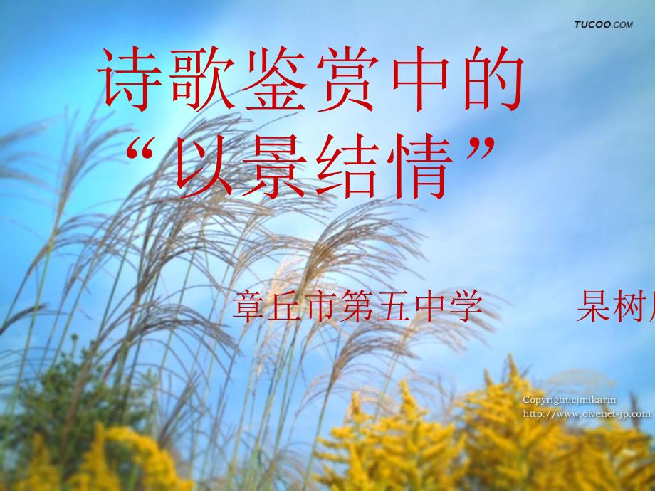 诗歌鉴赏之以景结情-杲树朋_第1页