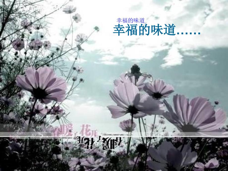 《面朝大海春暖花开》_第1页