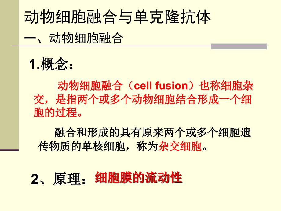 动物细胞融合与单克隆抗体第二课时_第1页