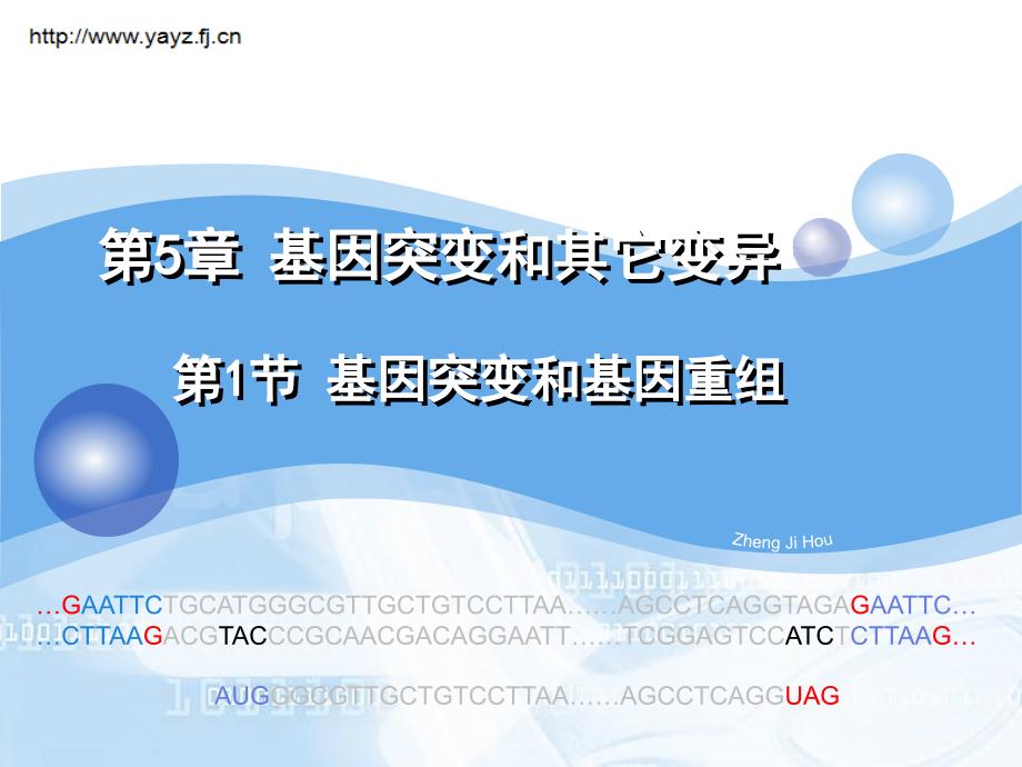 基因突变和基因重组 (2)_第1页