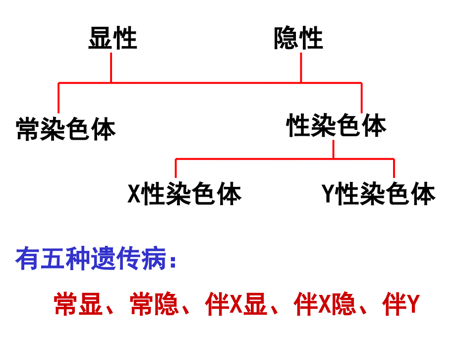 伴性遗传2判断方法_第1页