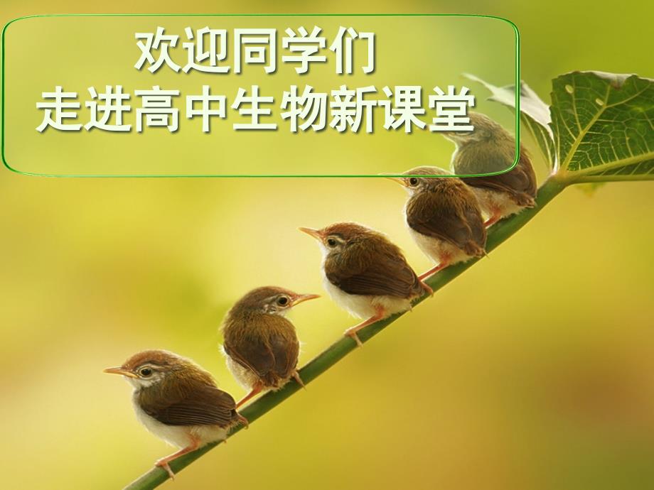 学习高中生物的方法_第1页