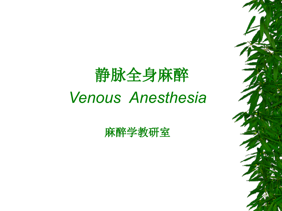 静脉全身麻醉Venous Anesthesia麻醉学教研室_第1页