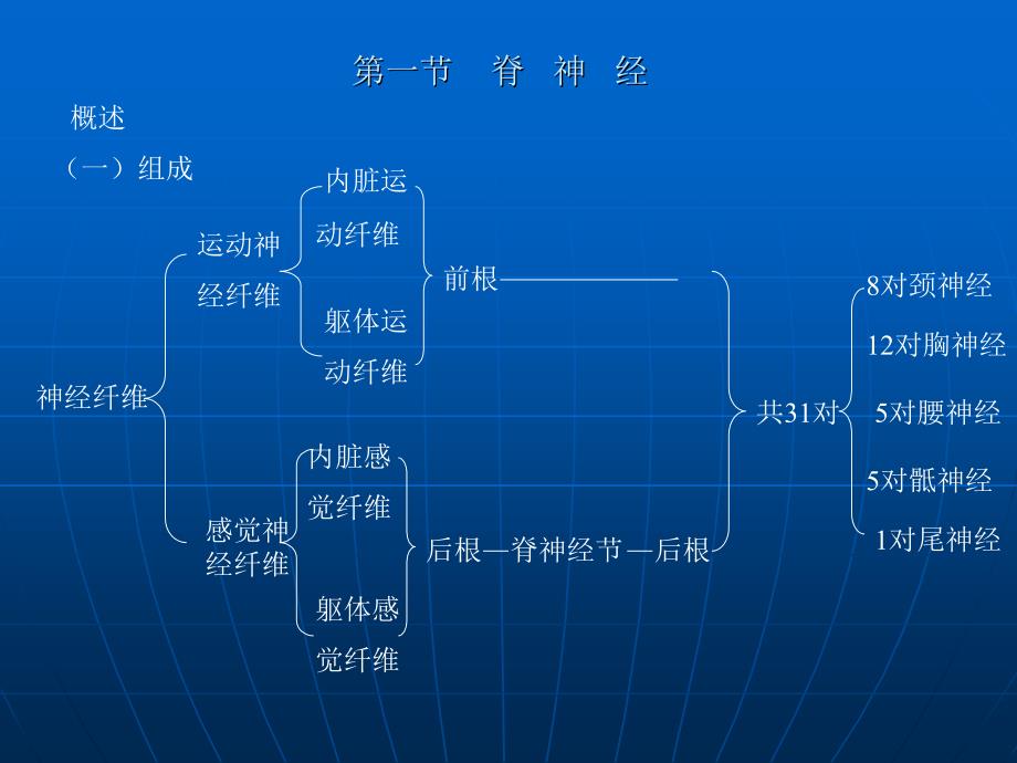 周围神经系统篇_第1页