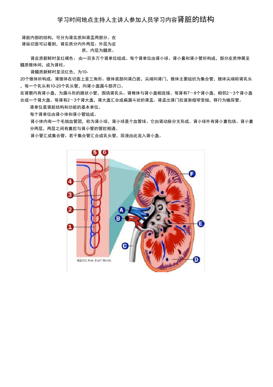 肾脏相关知识_第1页