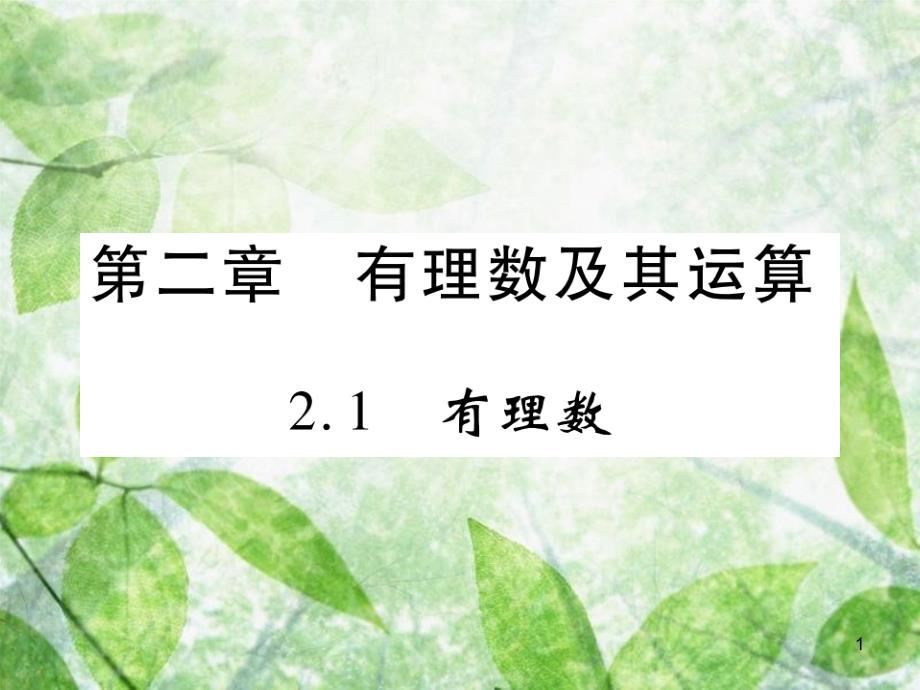 七年级数学上册 第二章 有理数及其运算 2.1 有理数练习优质课件 （新版）北师大版_第1页