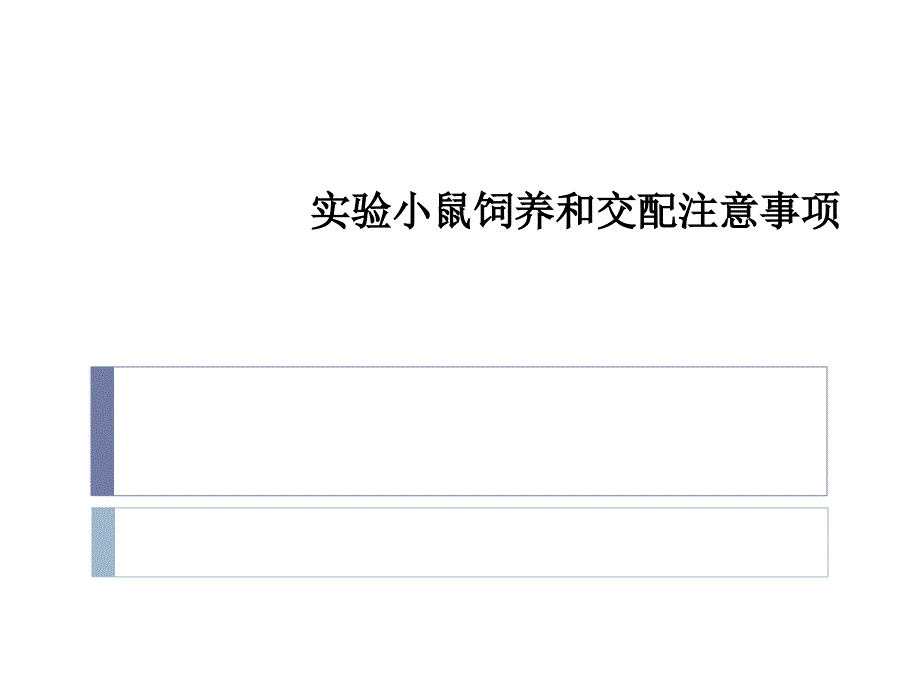 小鼠的饲养和交配注意事项_第1页