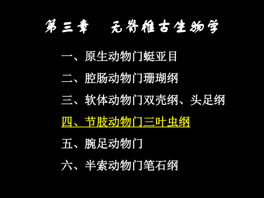 古生物的主要门类_第1页