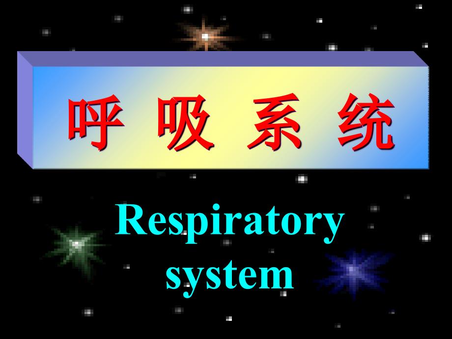 系解之呼吸系统课件_第1页