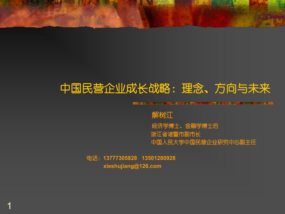 企业成长战略（解树江博士、副市长）_第1页