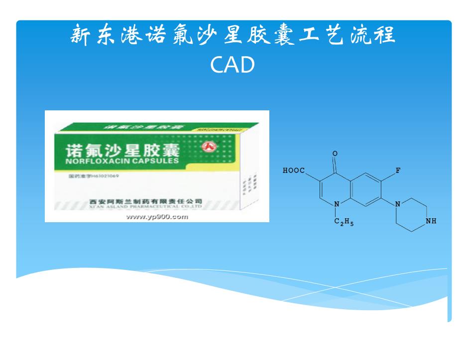 诺氟沙星生产工艺流程设计_第1页