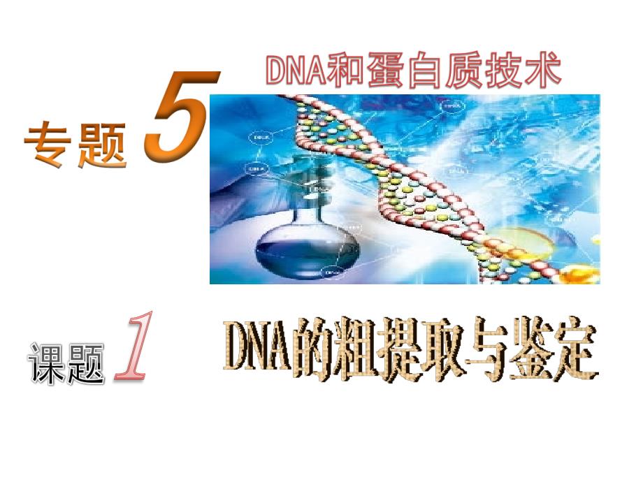 《DNA的粗提取与鉴定》课件_第1页