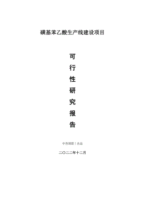 磺基苯乙酸生产建设项目可行性研究报告