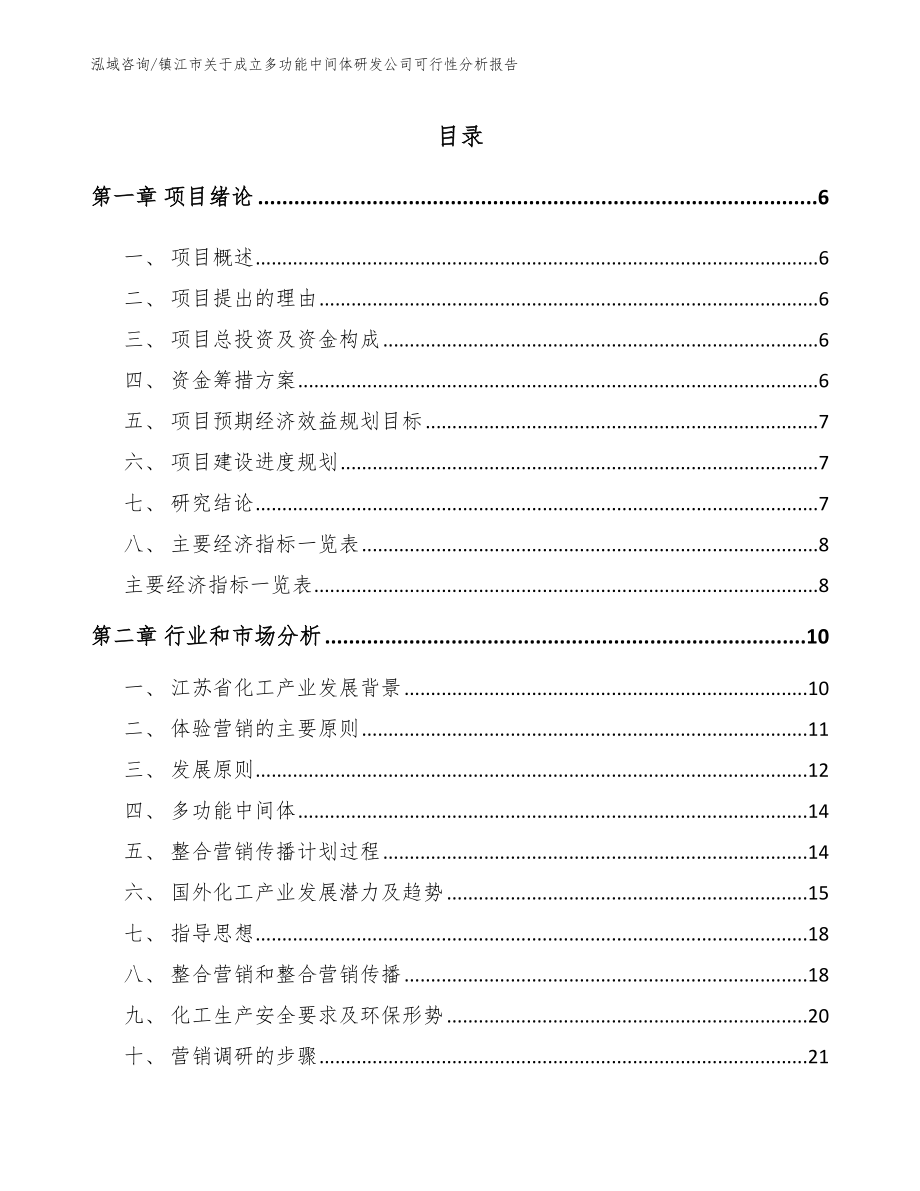 镇江市关于成立多功能中间体研发公司可行性分析报告_模板_第1页
