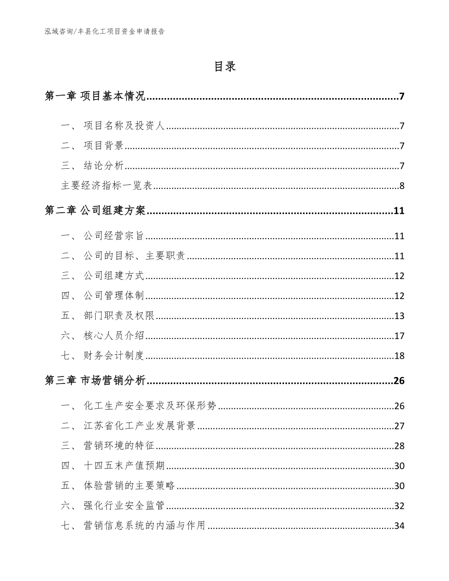 丰县化工项目资金申请报告（参考模板）_第1页