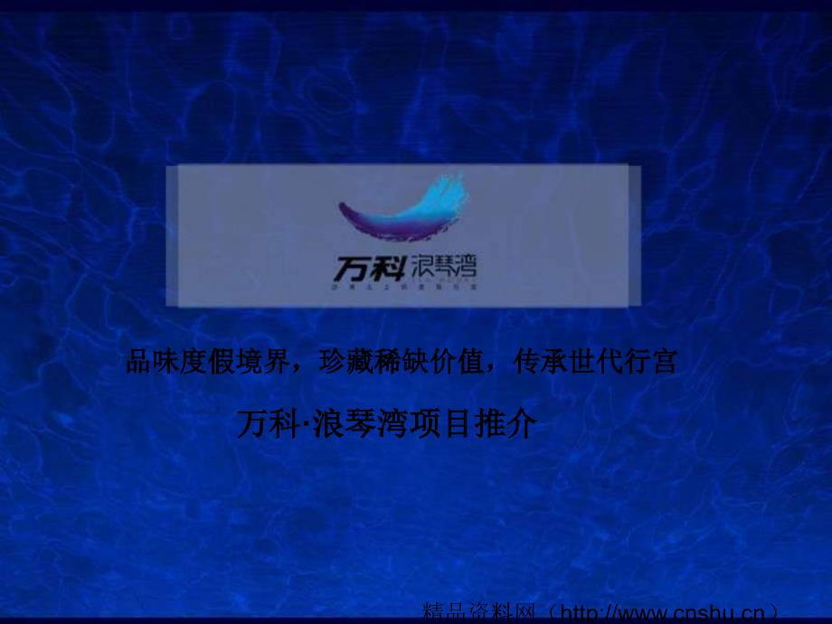 某地产浪琴湾项目推介_第1页