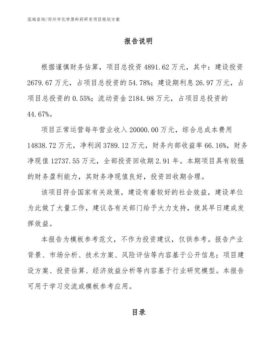 邳州市化学原料药研发项目规划方案_第1页