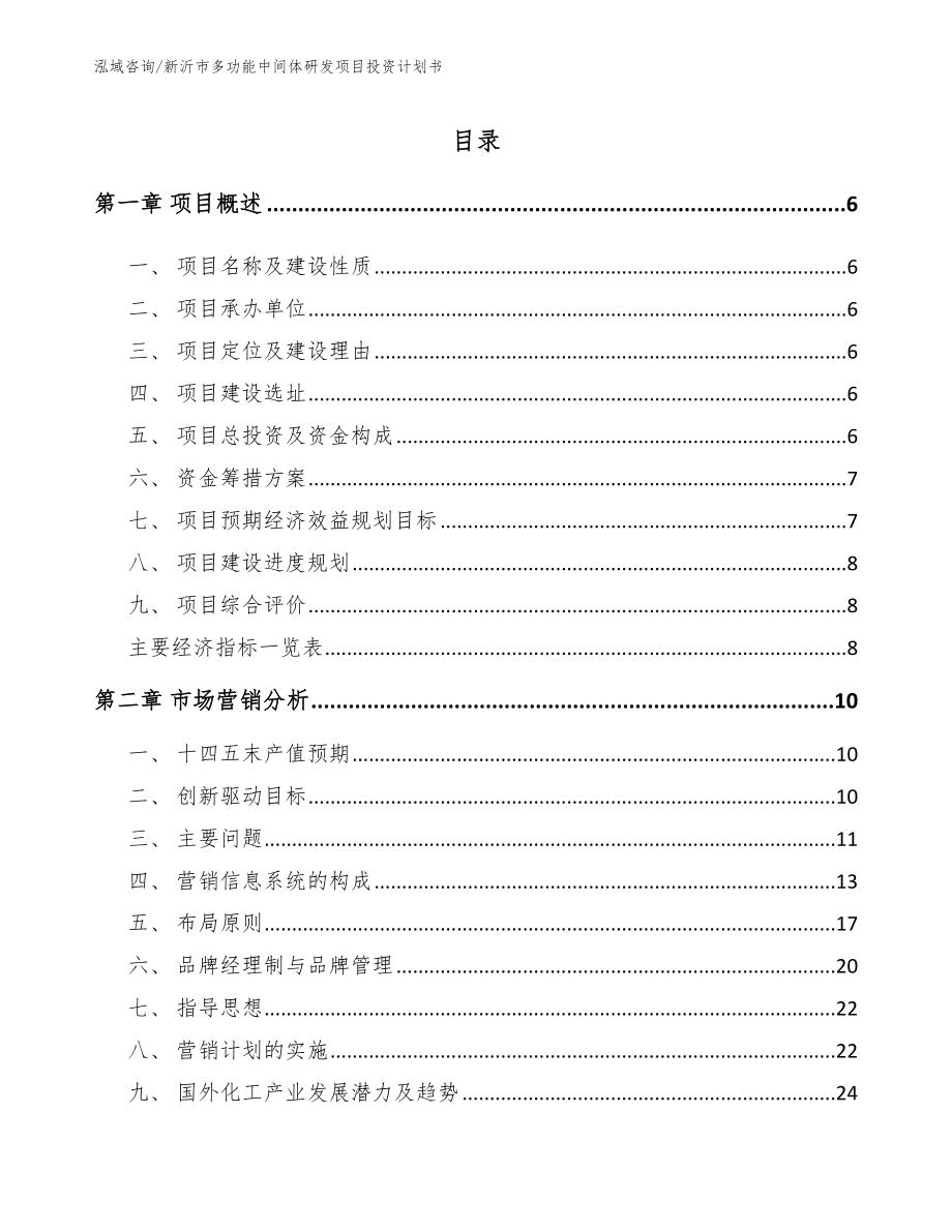 新沂市多功能中间体研发项目投资计划书模板_第1页