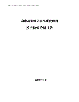 响水县造纸化学品研发项目投资价值分析报告