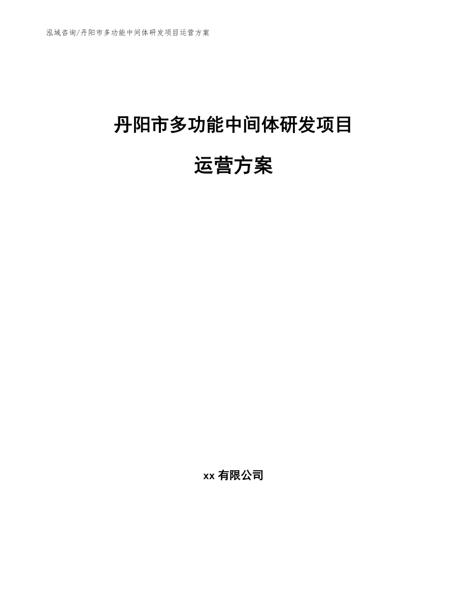 丹阳市多功能中间体研发项目运营方案_第1页