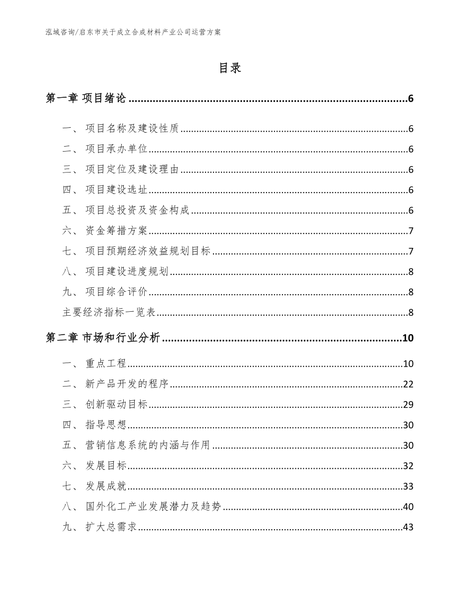 启东市关于成立合成材料产业公司运营方案_第1页