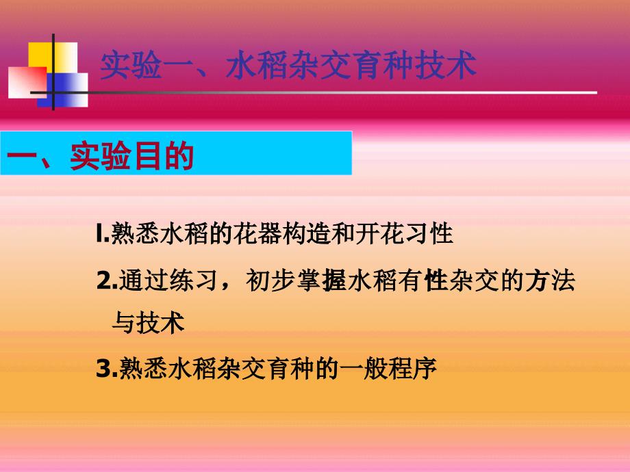 水稻杂交育种技术实验_第1页