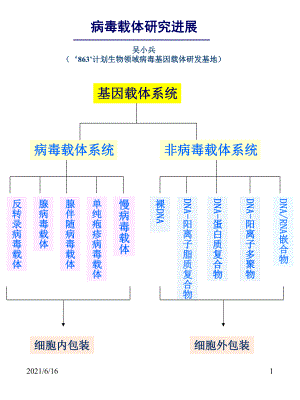 病毒载体概述