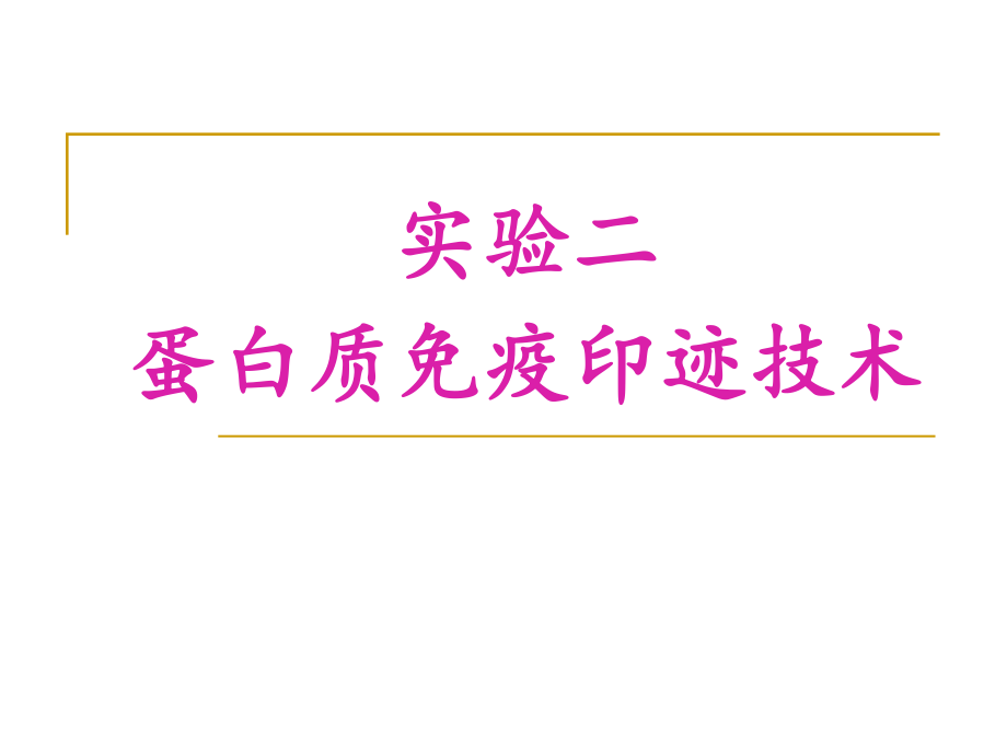 蛋白质免疫印迹技术_第1页