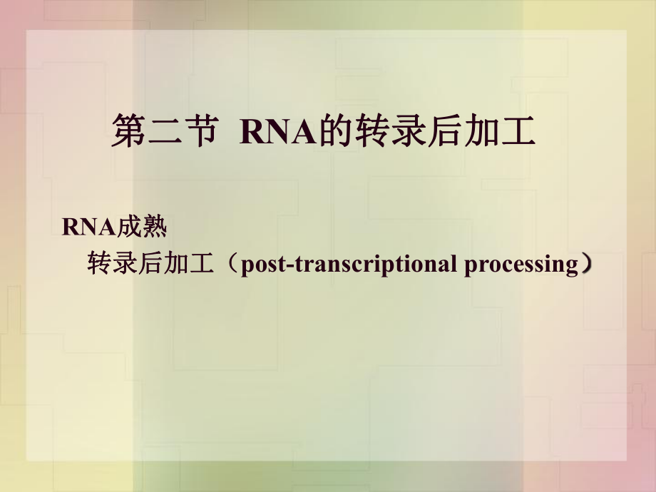 IRNA的转录后加工_第1页