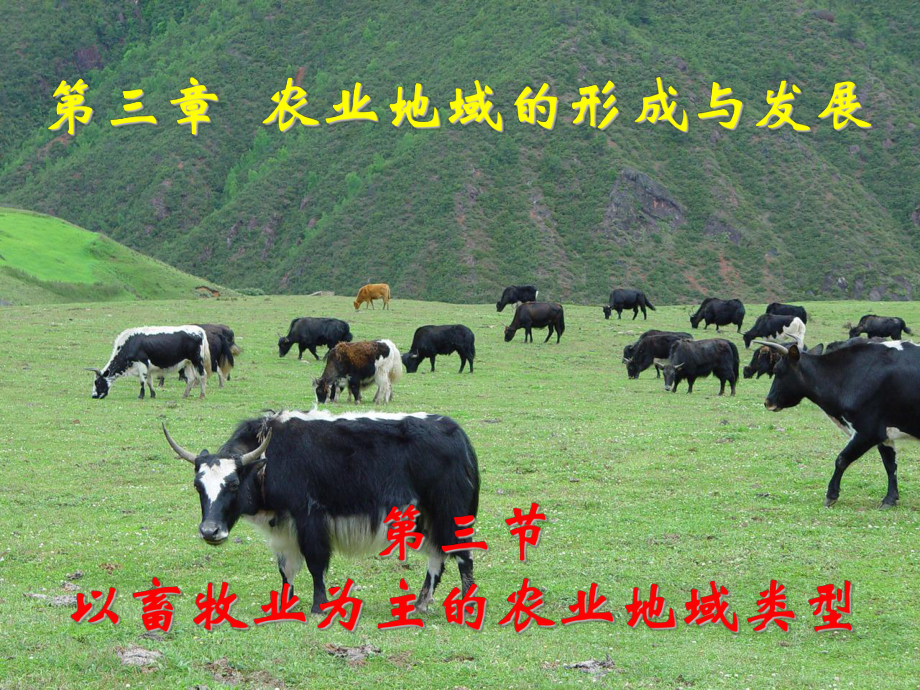 人教版高中地理课件：以畜牧业为主的农业地域类型乳畜业_第1页