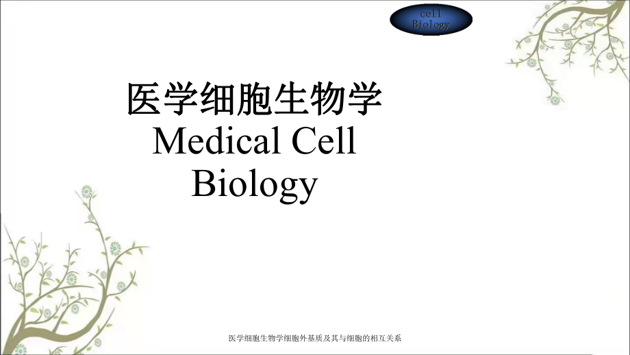 医学细胞生物学细胞外基质及其与细胞的相互关系课件_第1页