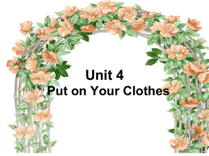 重大版英语三年级下册Unit 4Put on your clothesppt课件2