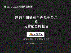 11月汉阳九州通项目产品定位思路及营销思路报告