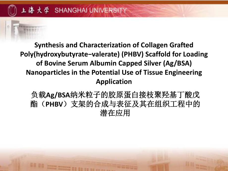 上海大学PPT模板课件_第1页