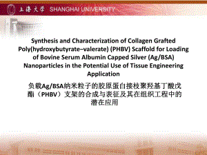 上海大学PPT模板课件
