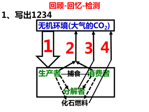 B3生态系统4信息稳定
