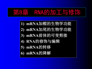 RNA的加功与修饰