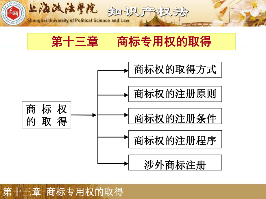 第十三章商标专用权的取得_第1页