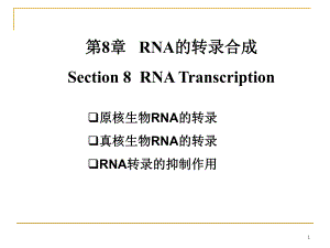 RNA的转录合成PPT课件