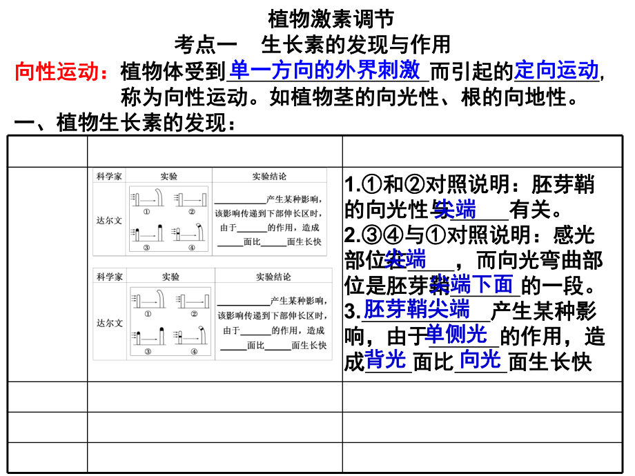 植物的激素调节课件_第1页