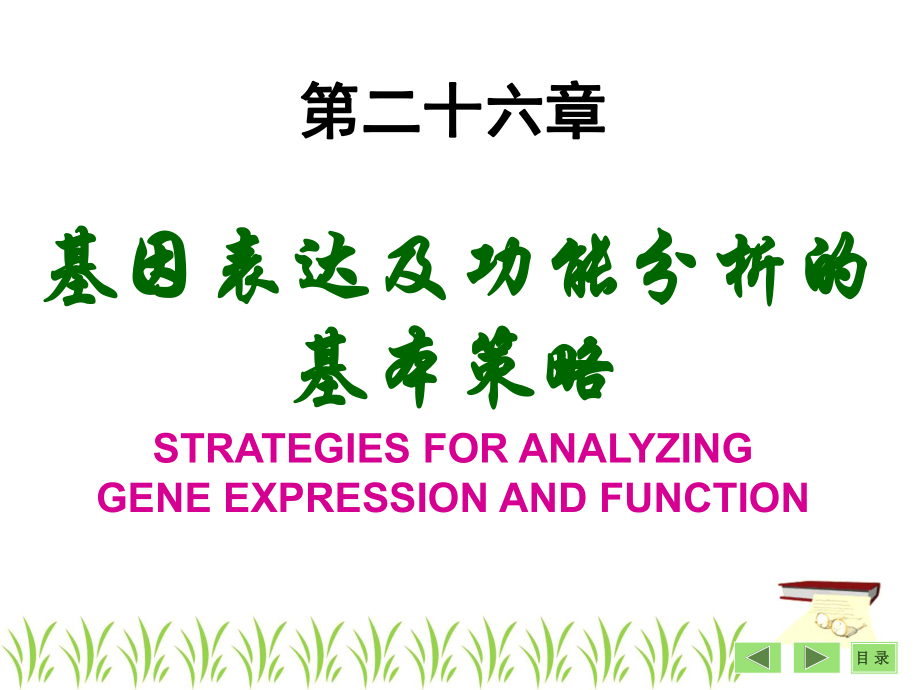 基因表达及功能分析基本策略课件_第1页