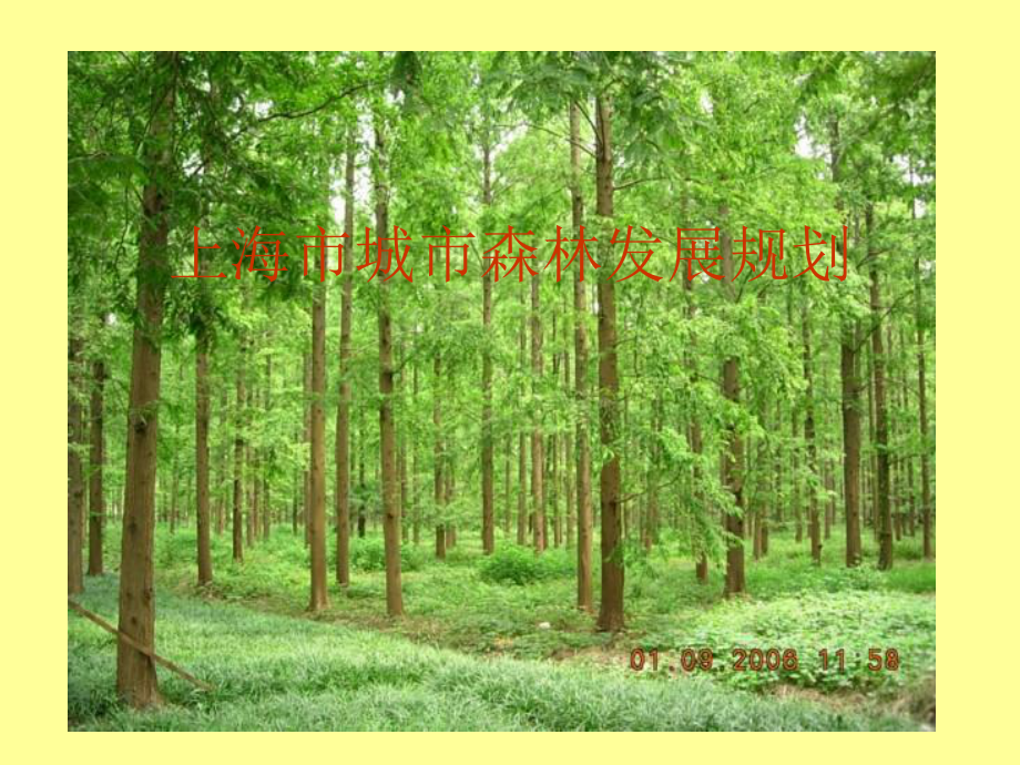 上海城市森林规划课件_第1页