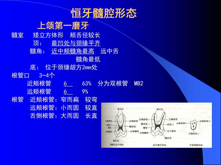 中国医科大学-口腔解剖生理学课件04_第1页