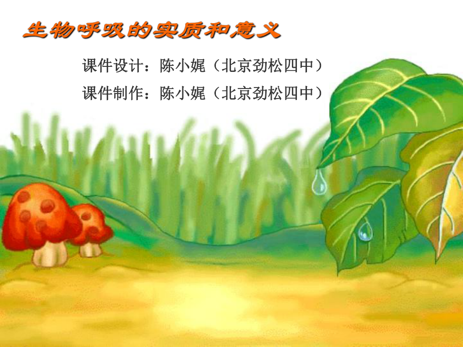 生物呼吸的实质和意义_第1页