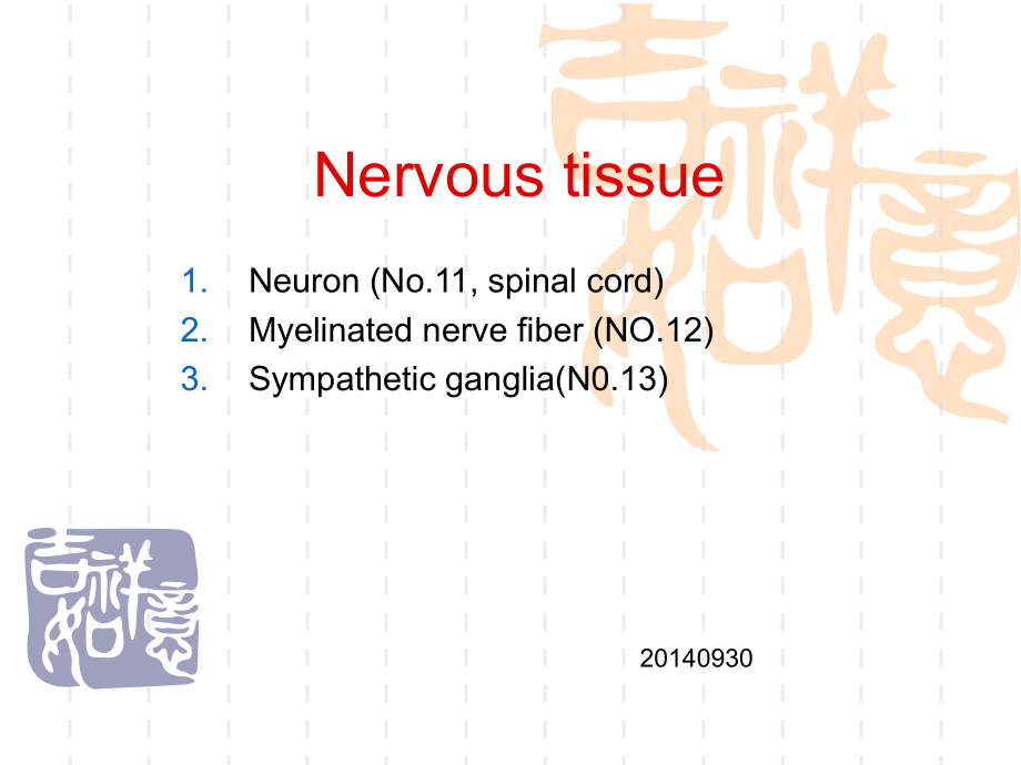 英文医学课件：Lab .nervous_tissue_第1页