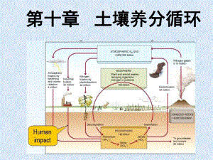 土壤养分循环最新课件