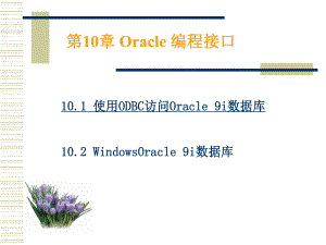 Oracle编程接口PPT课件